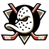 Anaheim Ducks badge