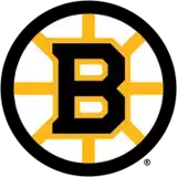 Boston Bruins badge