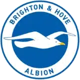 Brighton and Hove Albion badge