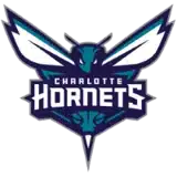 Charlotte Hornets badge