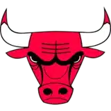 Chicago Bulls badge