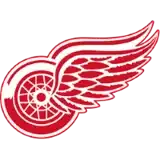 Detroit Red Wings badge