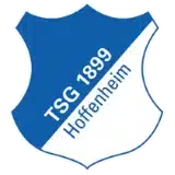Hoffenheim badge