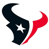 Houston Texans badge
